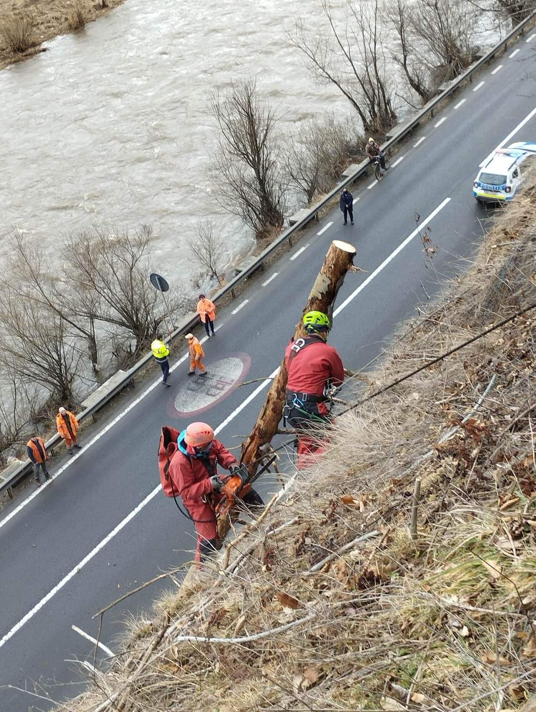 PERICOL ÎN TRAFIC