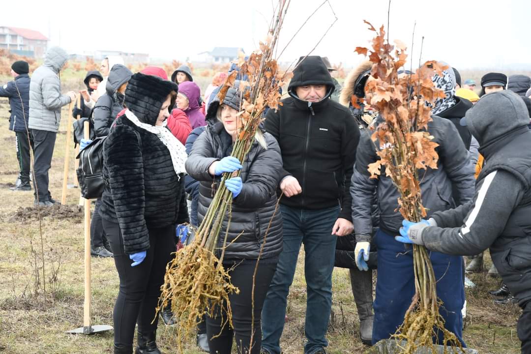 O nouă  acțiune de plantare a avut  loc în  Pădurea Parașutiștilor de la Răcari, evenimentul a fost pregătit de către administrația locală condusă de primarul Marius Caravețeanu.