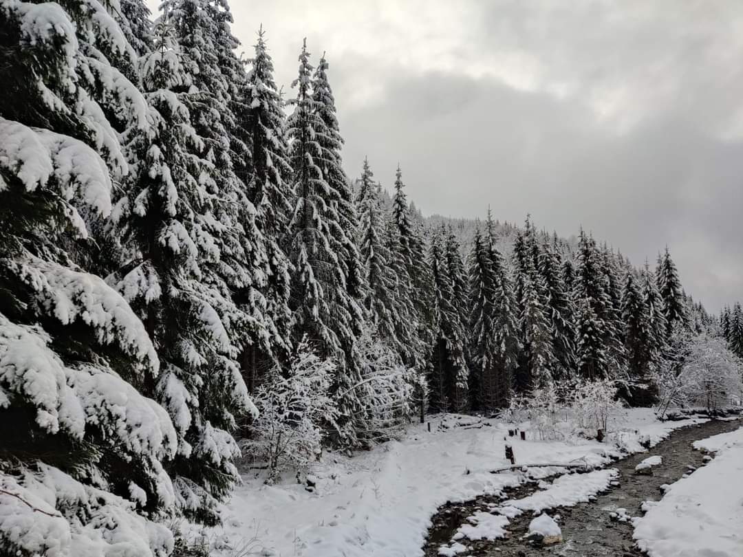  Parcul Național Buila - Vânturarița este cel mai mic parc național (circa 4200 hectare) din țara noastră, dar unul cu cele mai spectaculoase și sălbatice locuri de văzut. 